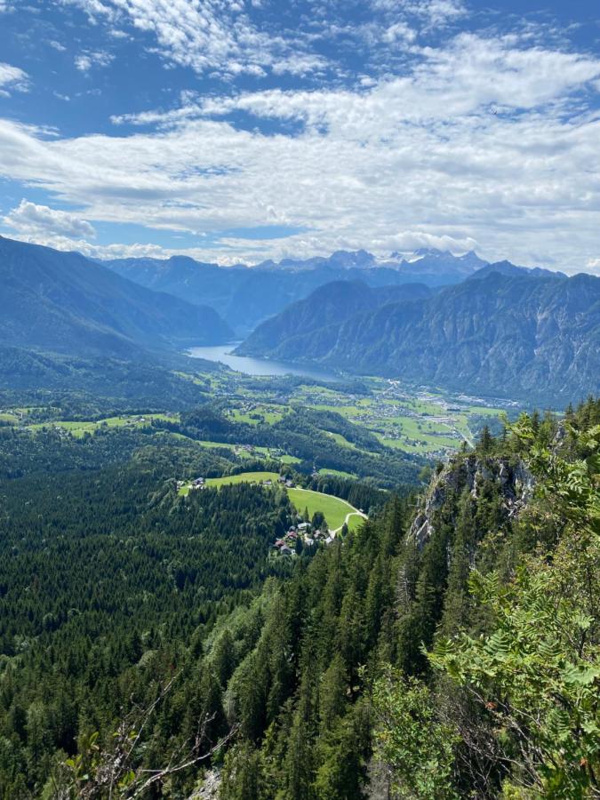 Bergglueck - Gemuetliches Appartement Am Traunsee อัลท์มุนสเตอร์ ภายนอก รูปภาพ